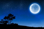Moon day. - Előnézeti Képe